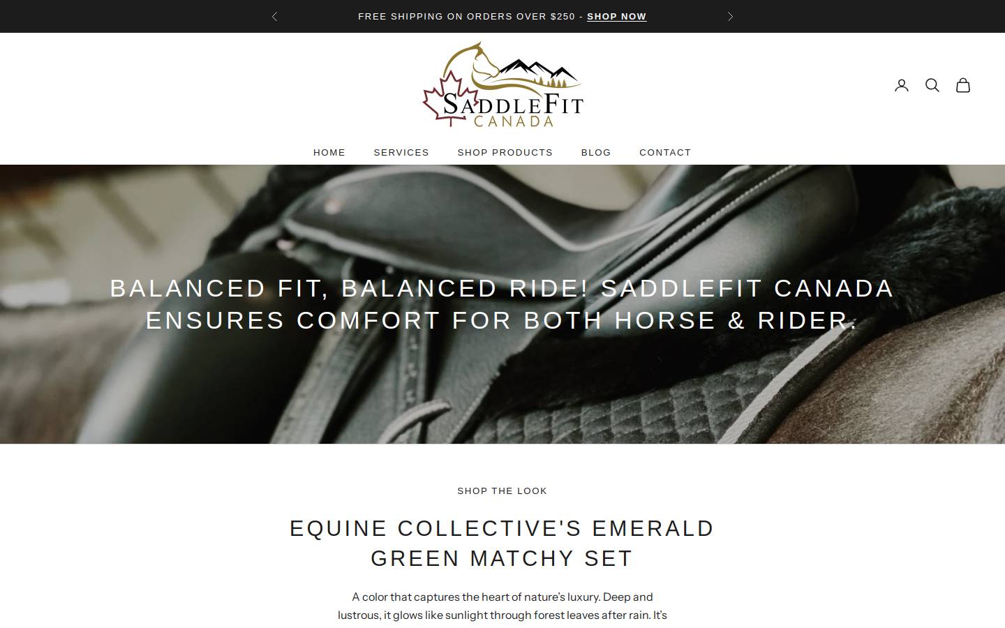 saddlefitcanada.ca homepage screenshot