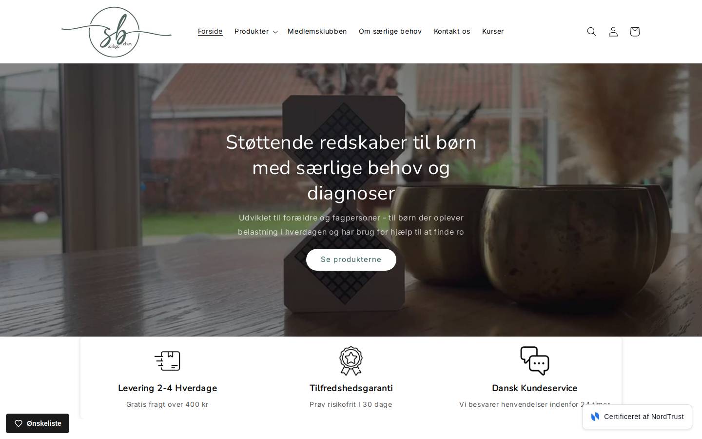 saerligebehov.dk homepage screenshot