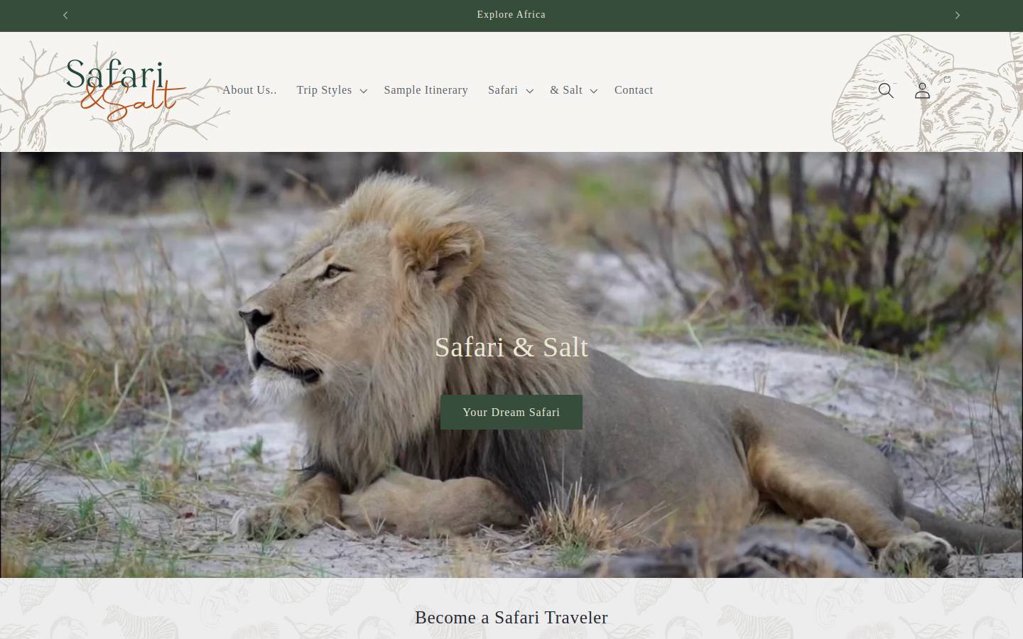 Safariandsalt homepage screenshot