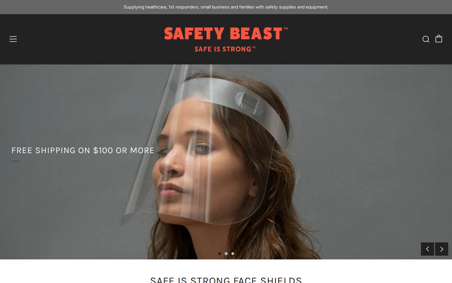 safetybeast.com homepage screenshot