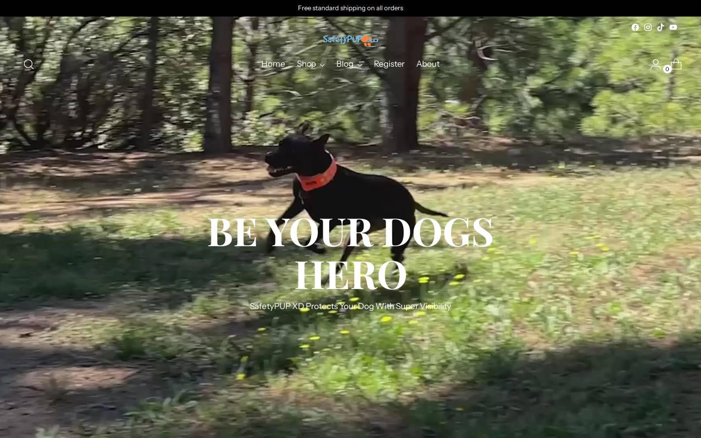 Safetypupxd homepage screenshot