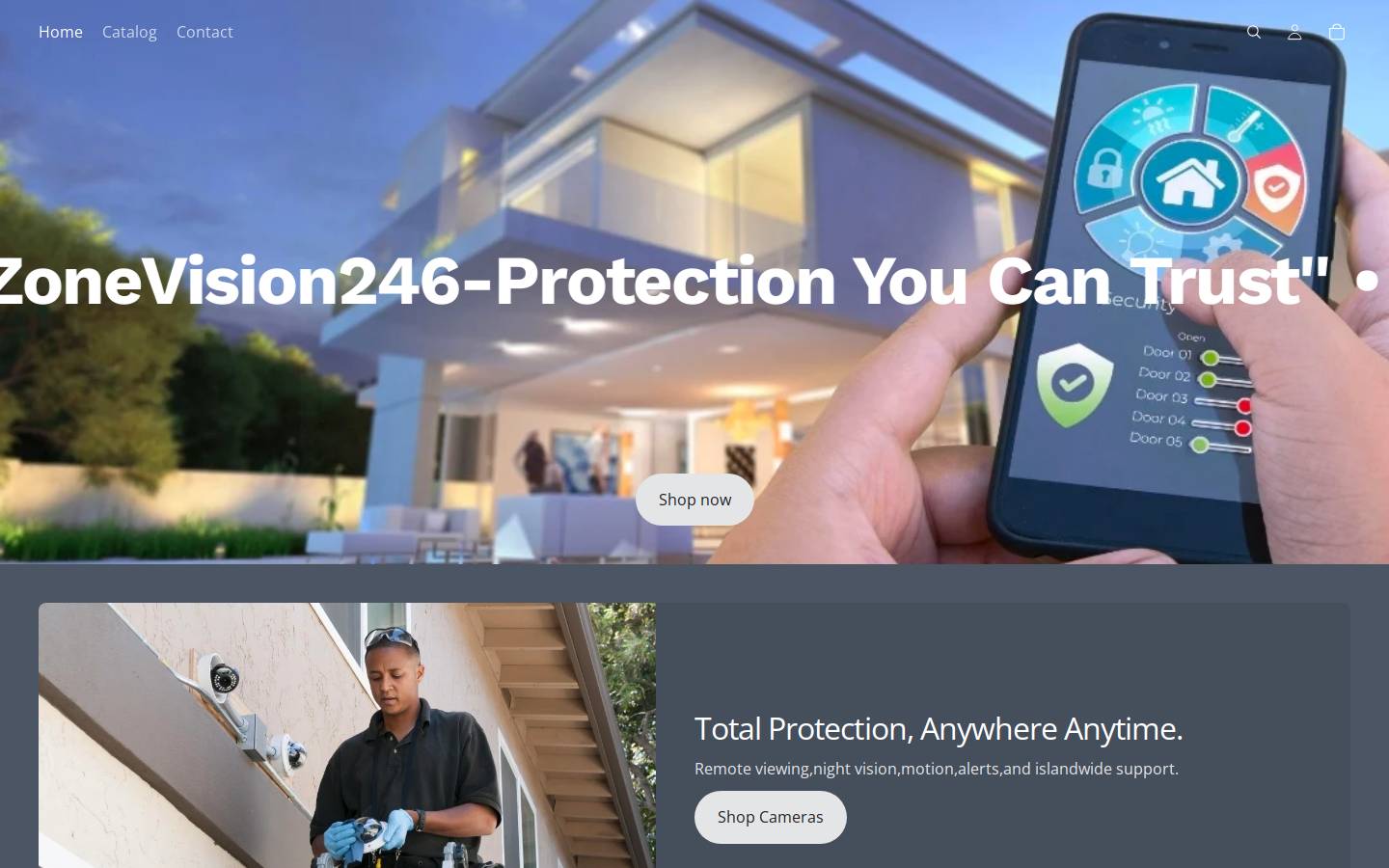 safezonevision246.com homepage screenshot
