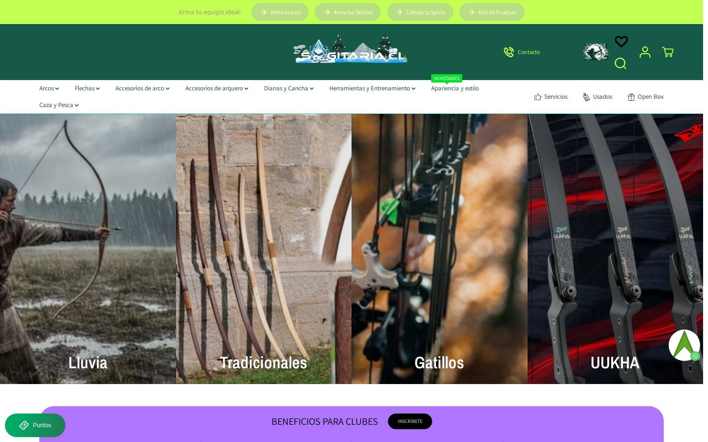 sagitaria.cl homepage screenshot
