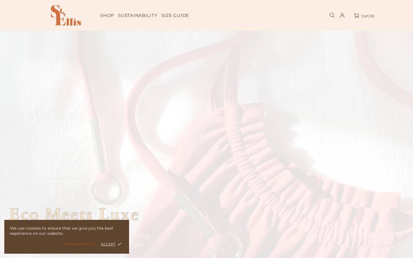 saintellis.com homepage screenshot