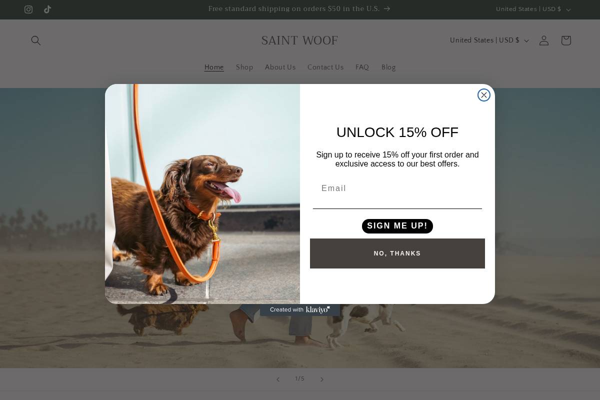 saintwoofcollection.com homepage screenshot