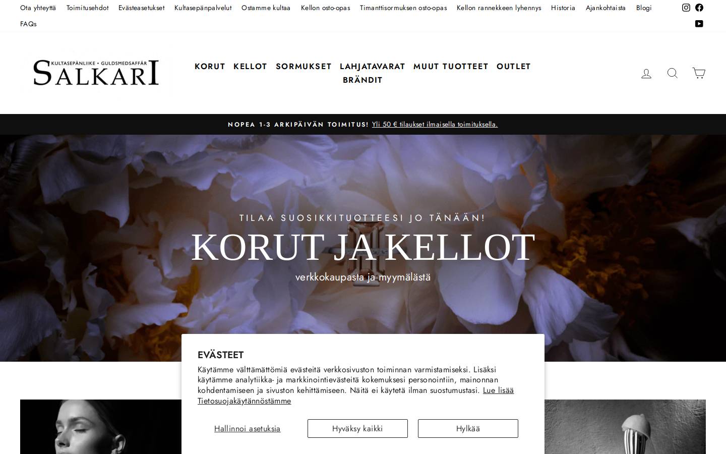 salkari.fi homepage screenshot