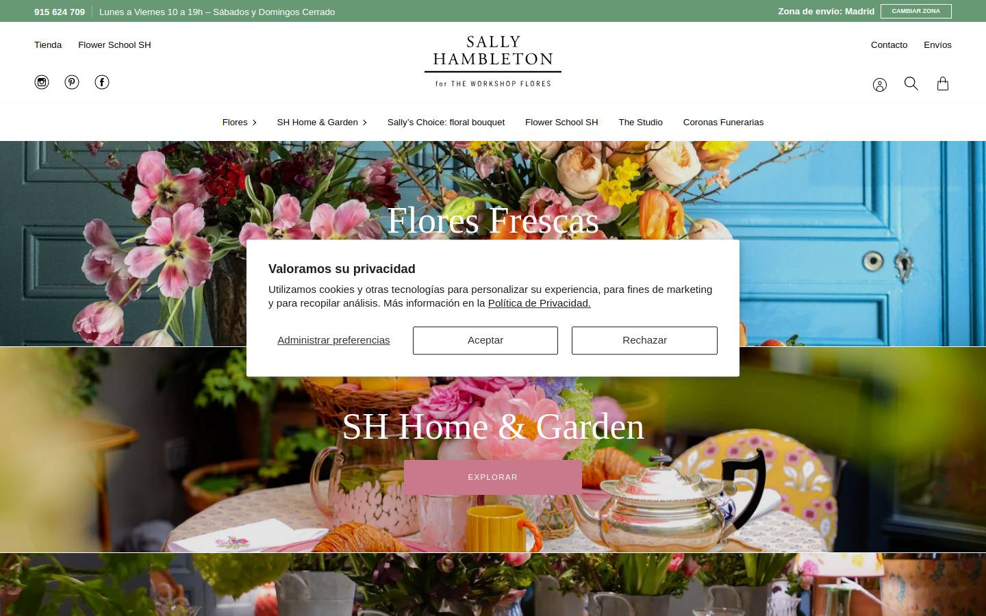 sallyhambleton.com homepage screenshot