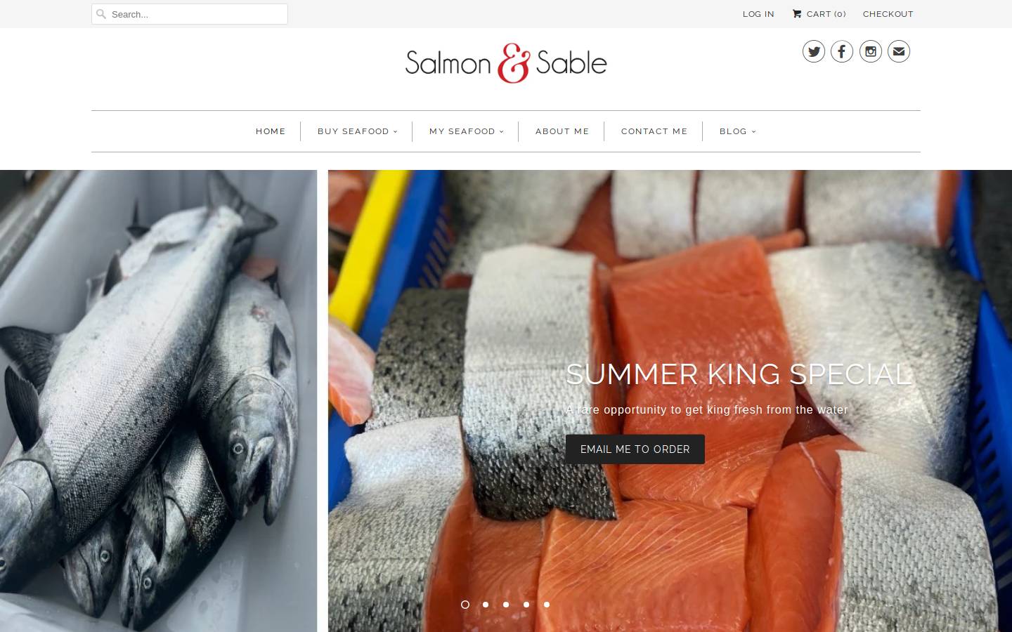 salmonandsable.com homepage screenshot
