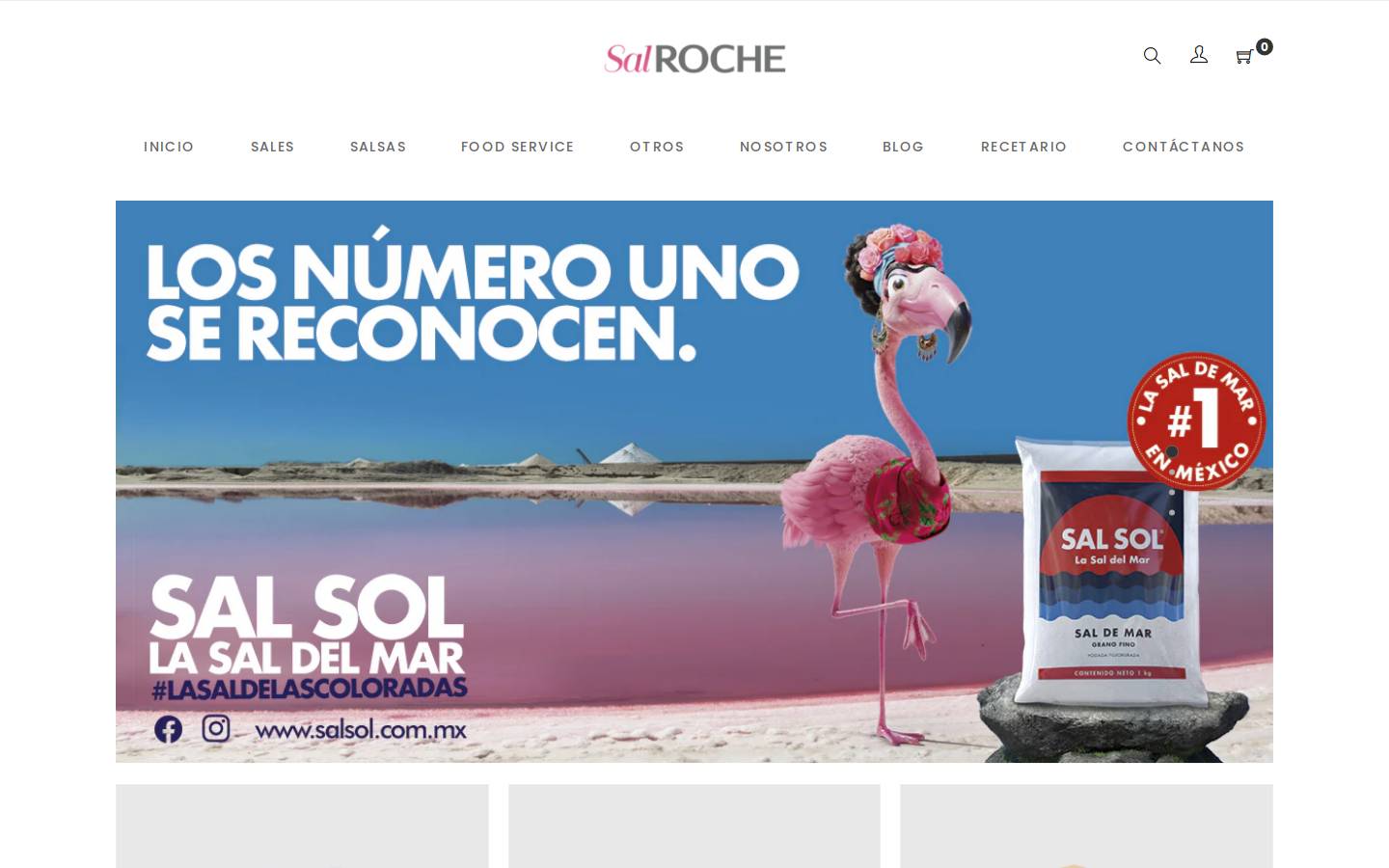 salroche.com homepage screenshot