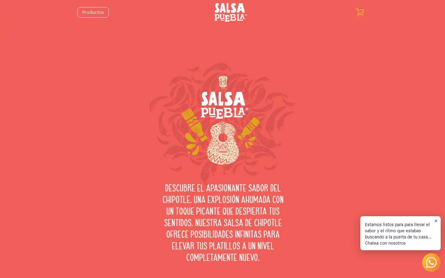 salsapuebla.com homepage screenshot
