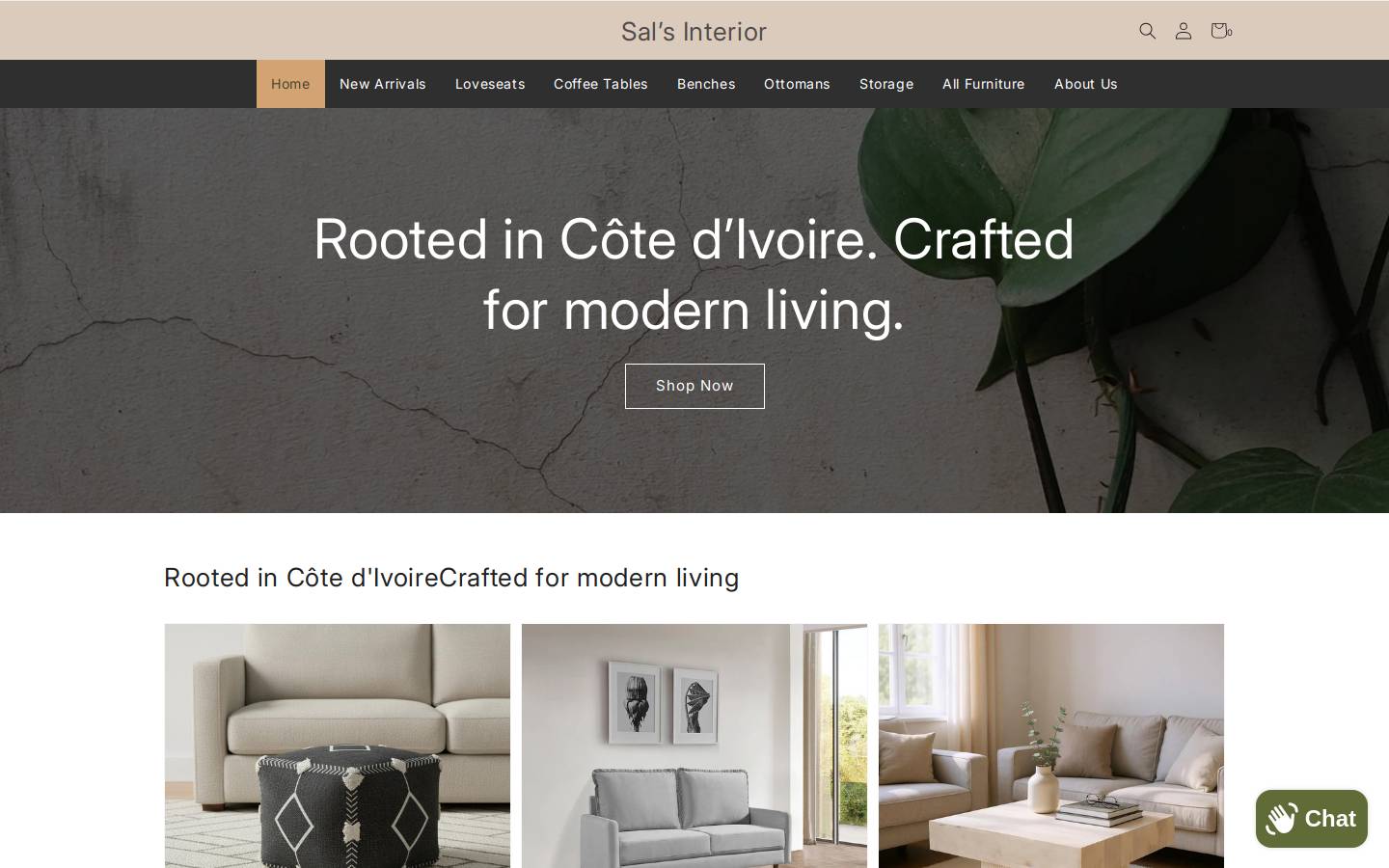 salsinterior.com homepage screenshot