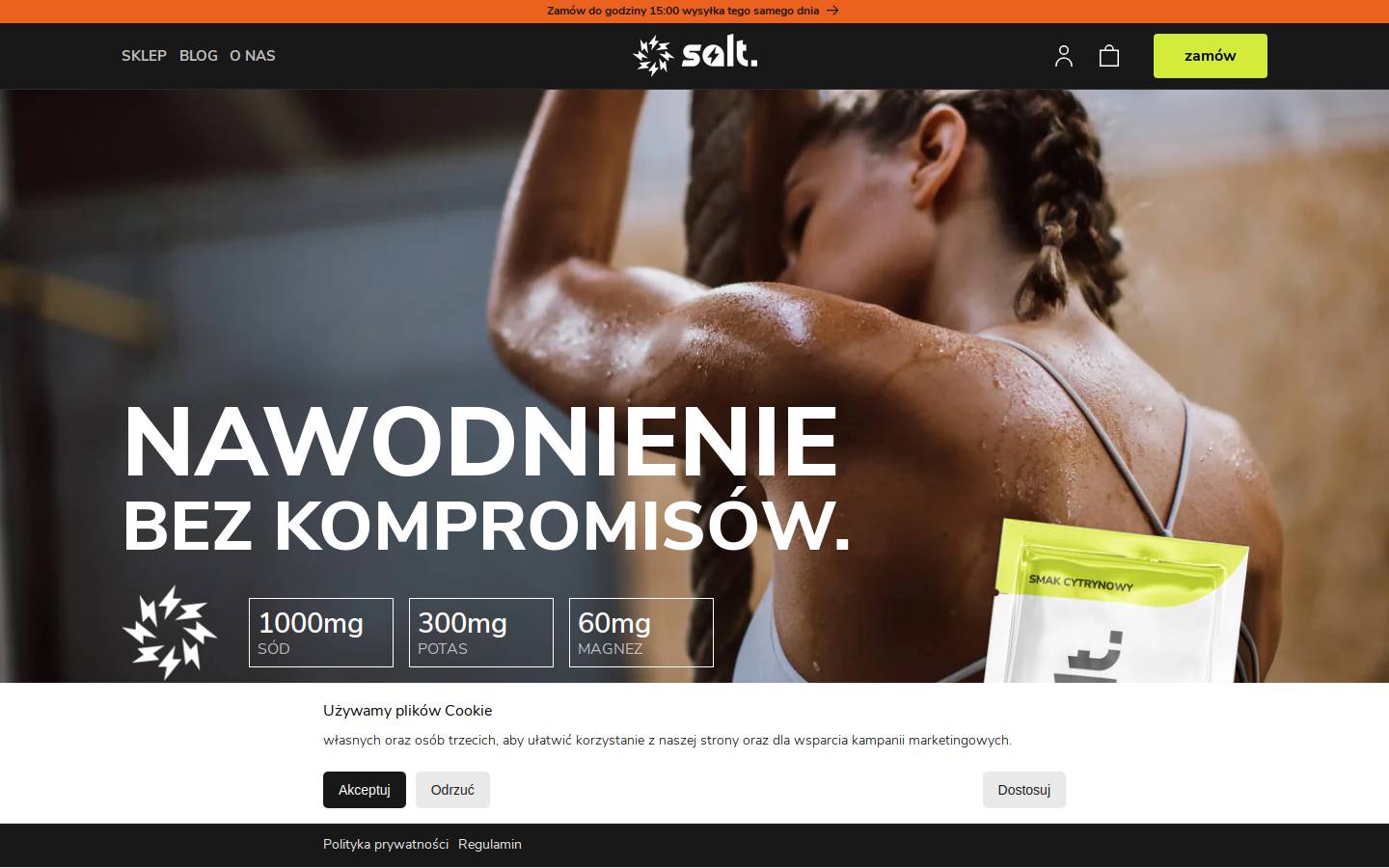 salt.pl homepage screenshot