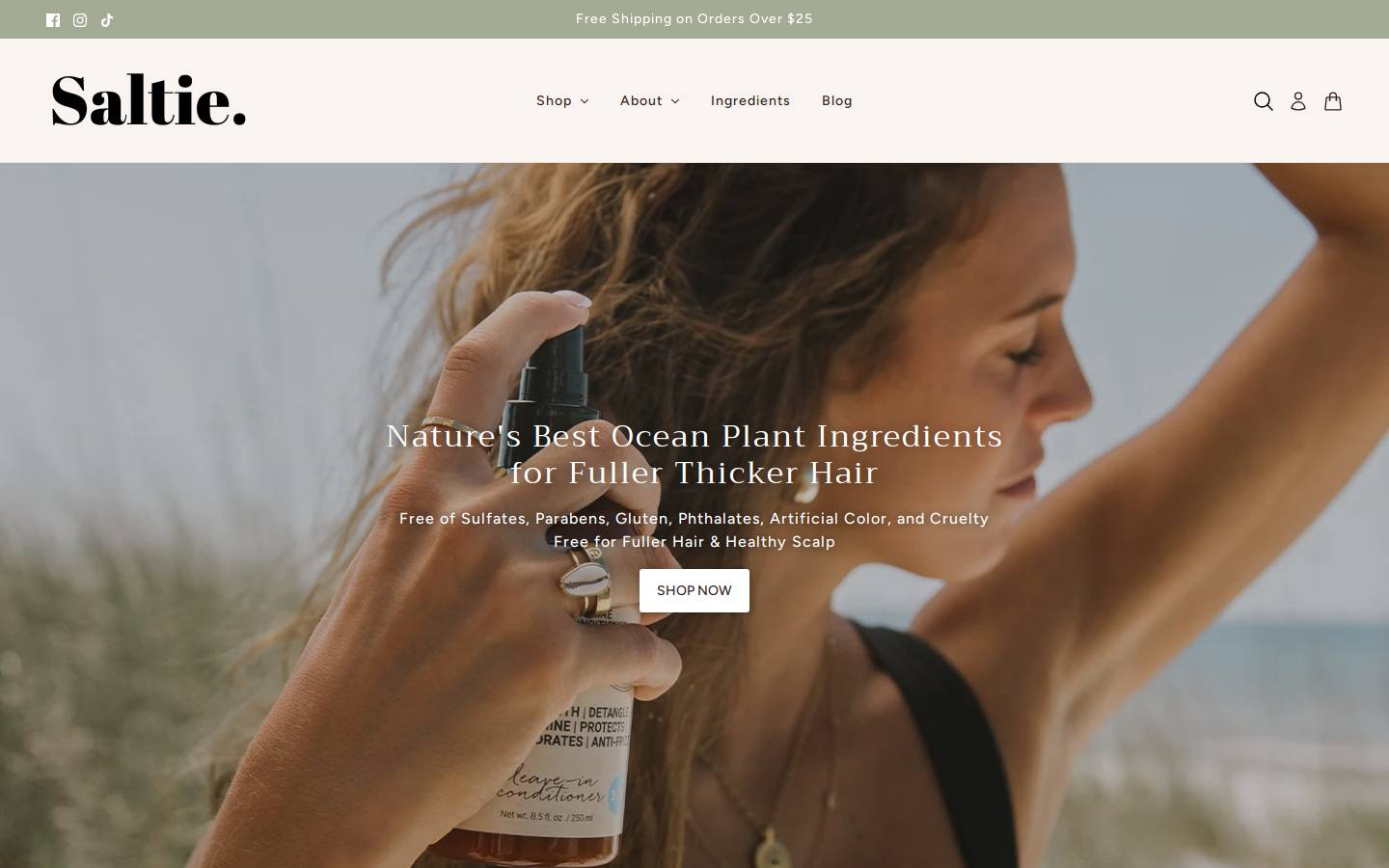 saltiebeauty.com homepage screenshot