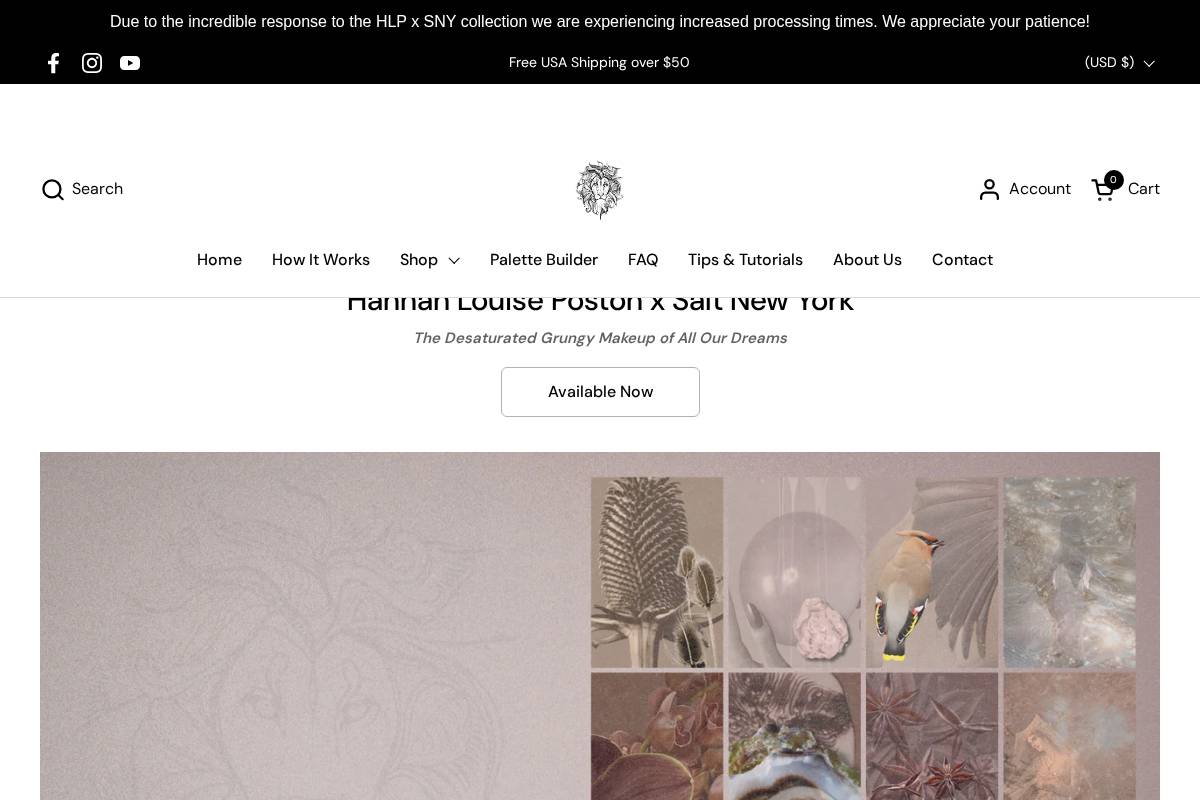 saltnewyork.com homepage screenshot