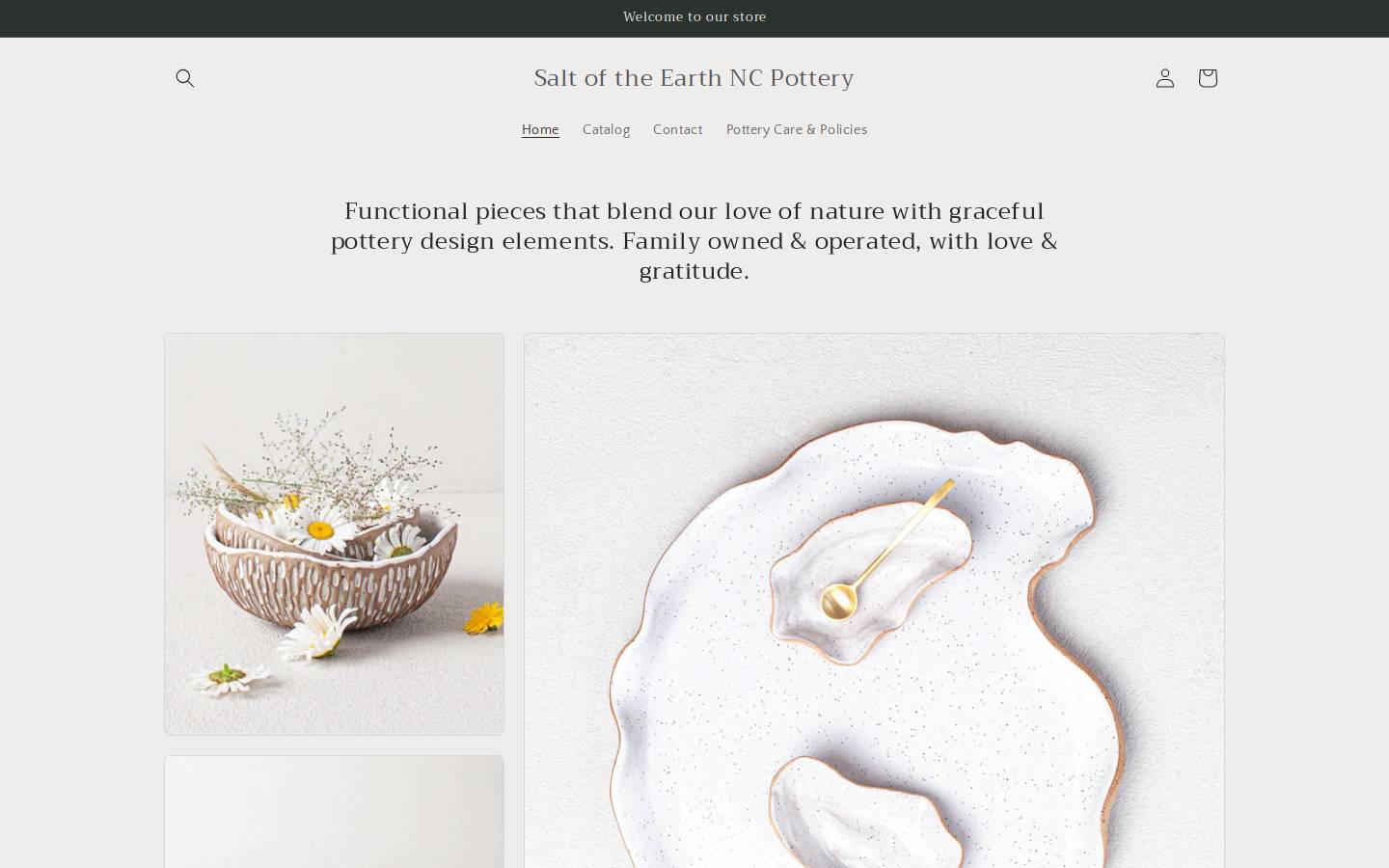 saltoftheearthnc.com homepage screenshot