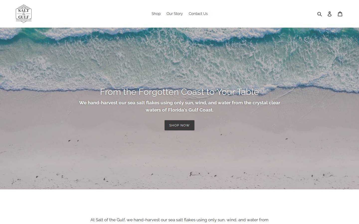 saltofthegulf.com homepage screenshot