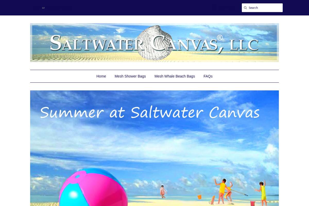 saltwatercanvas.com homepage screenshot