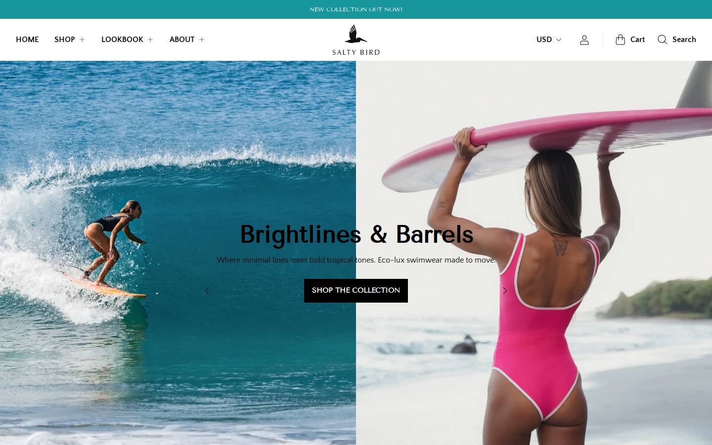 saltybirdsurf.com homepage screenshot