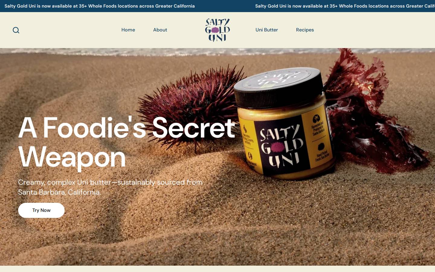 saltygolduni.com homepage screenshot