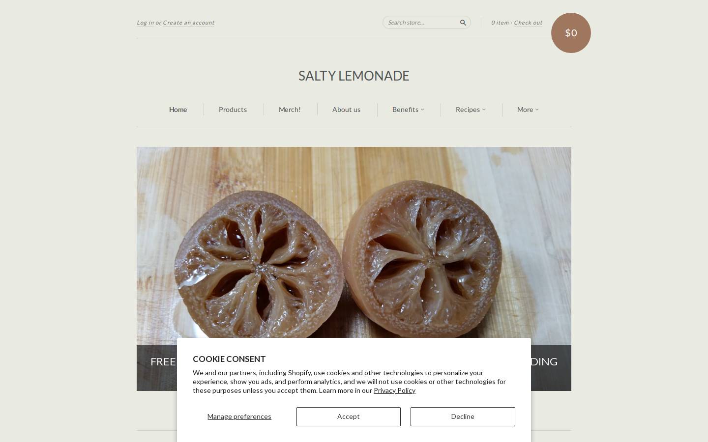 saltylemonade.com homepage screenshot