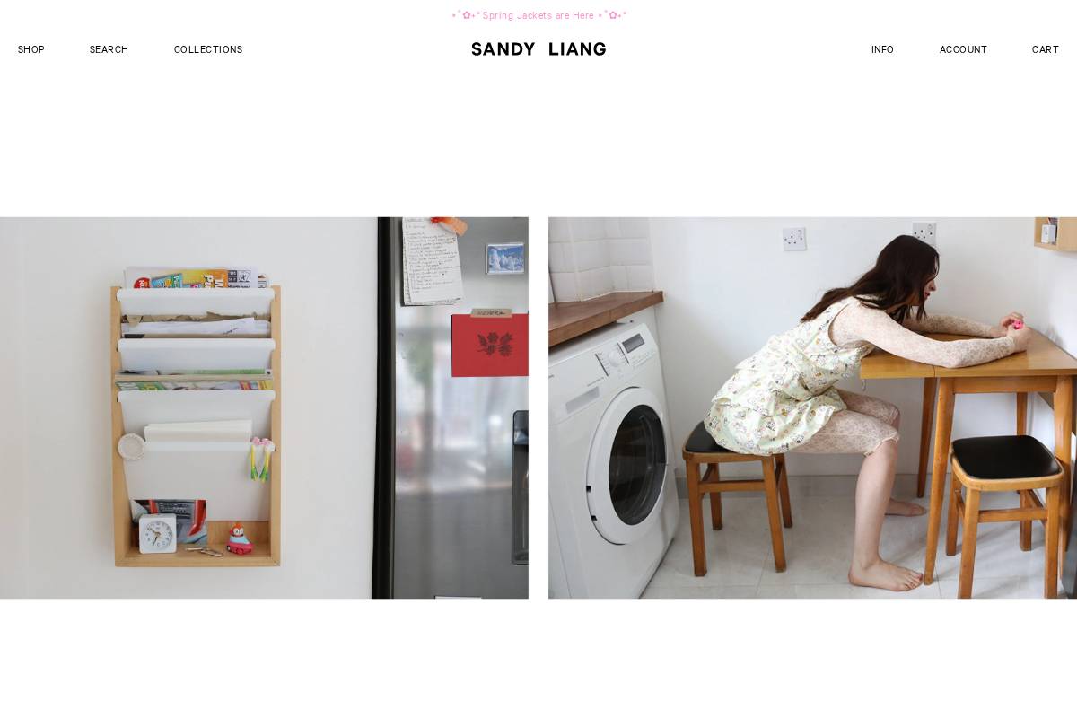 sandyliang.info homepage screenshot
