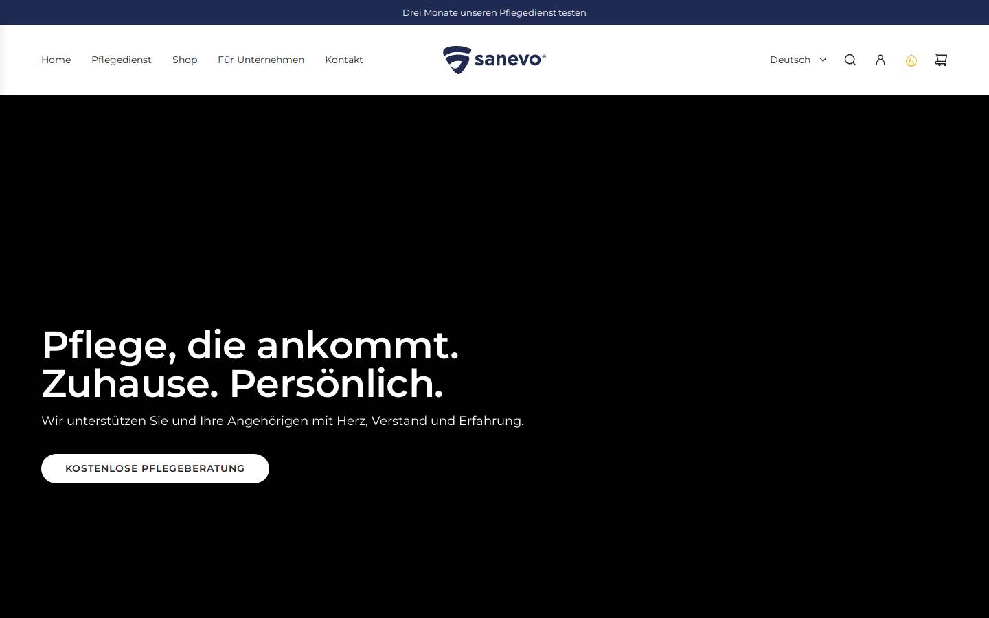 sanevo.it homepage screenshot