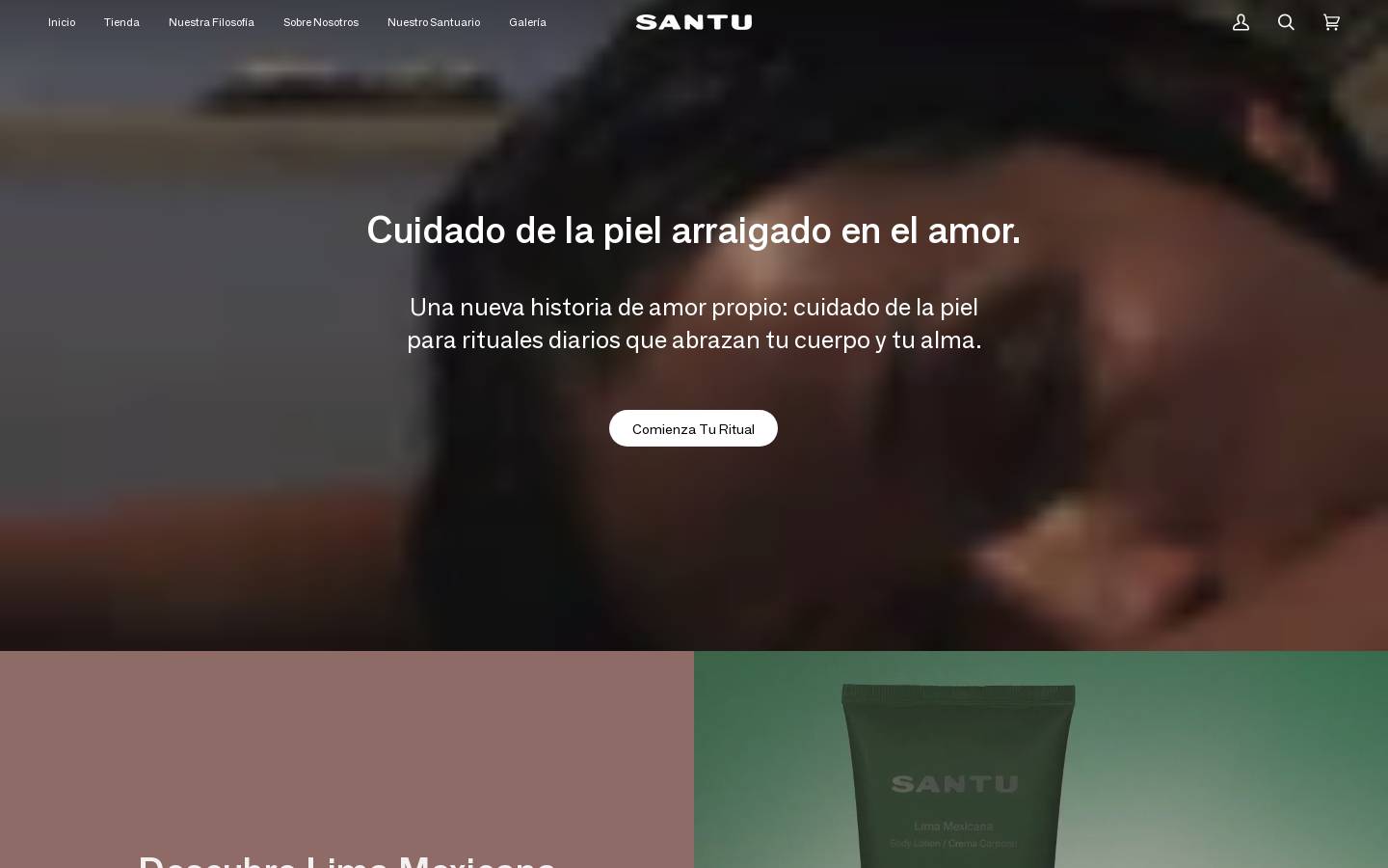 santu.com.mx homepage screenshot