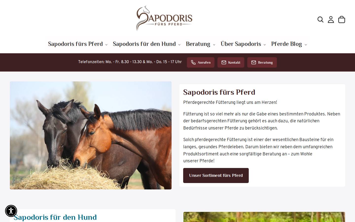 sapodoris.de homepage screenshot