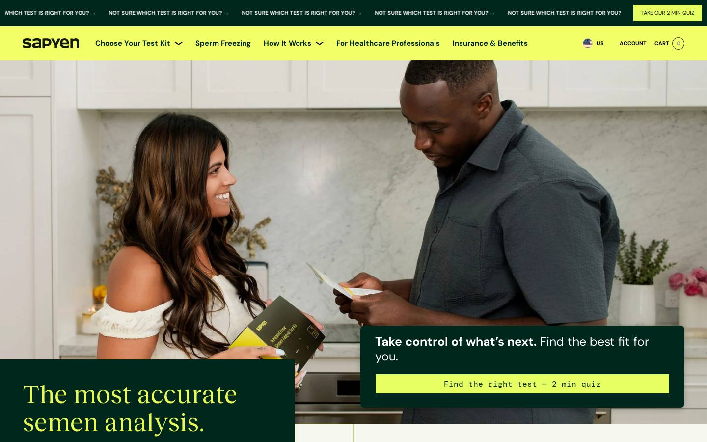 Sapyen homepage screenshot