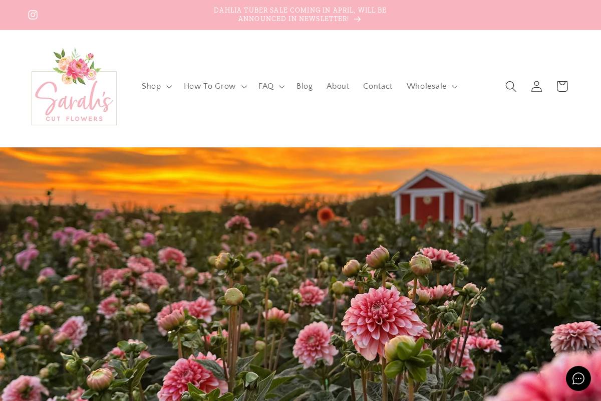 sarahscutflowers.com homepage screenshot