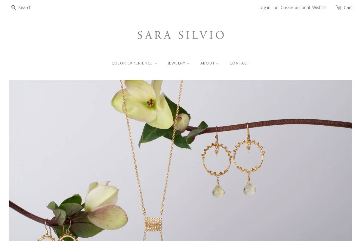 sarasilvio.com homepage screenshot
