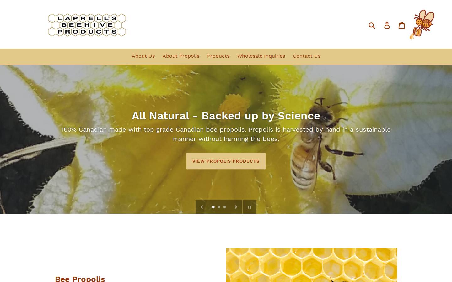saskpropolis.com homepage screenshot