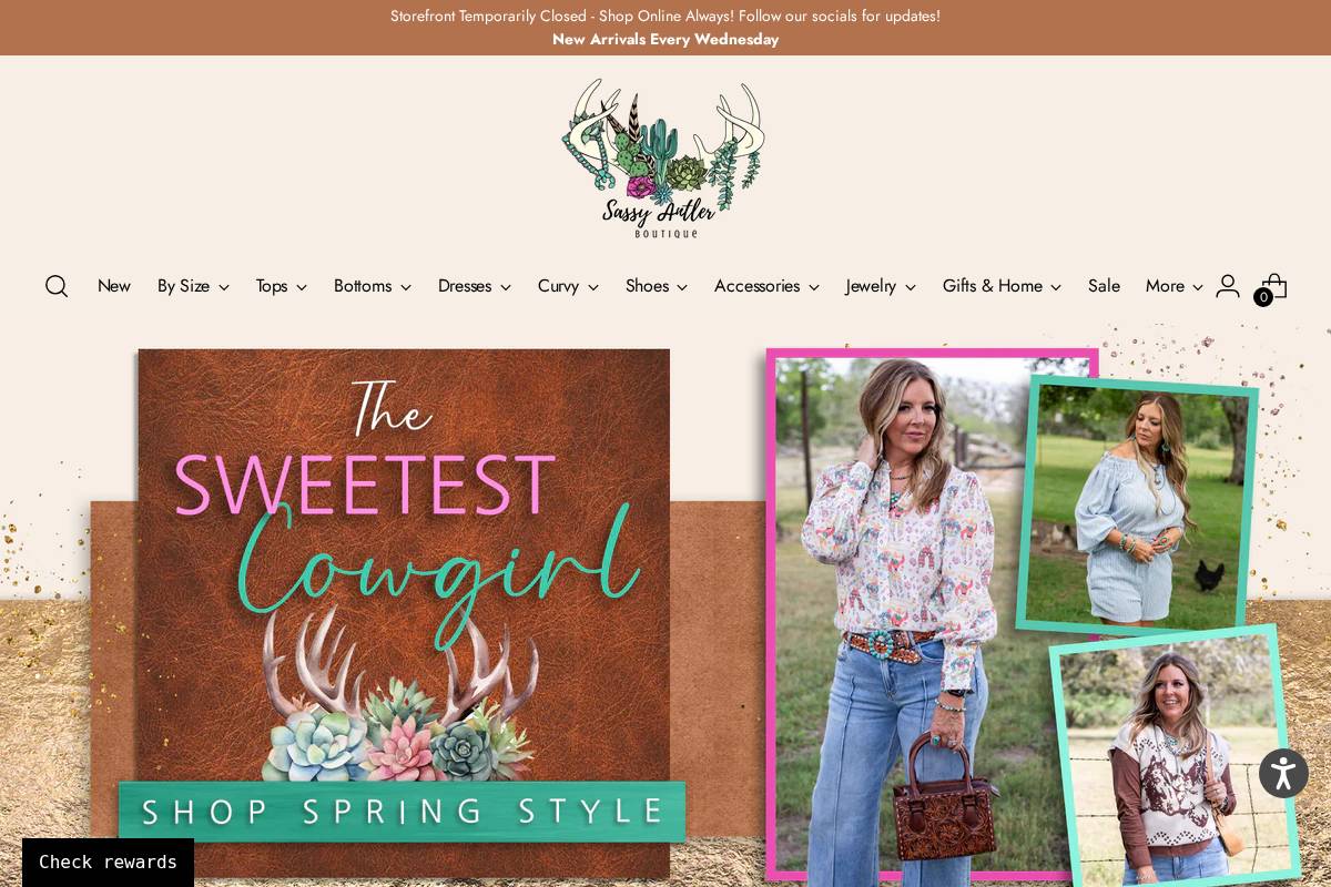 sassyantlerboutique.com homepage screenshot