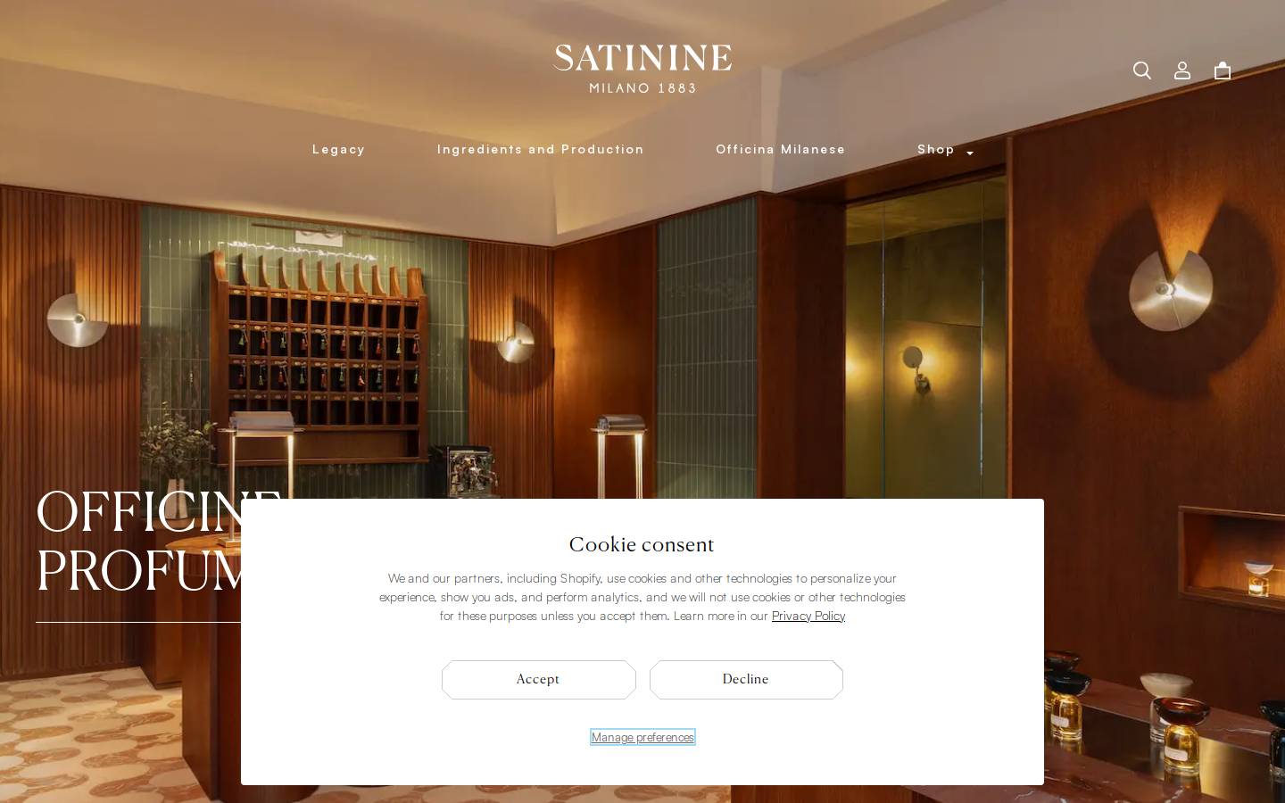 satinine.com homepage screenshot