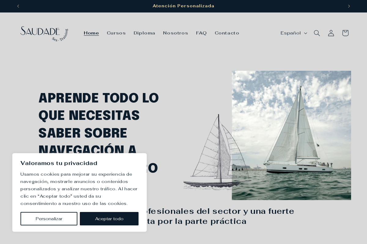 saudadeseatraining.com homepage screenshot