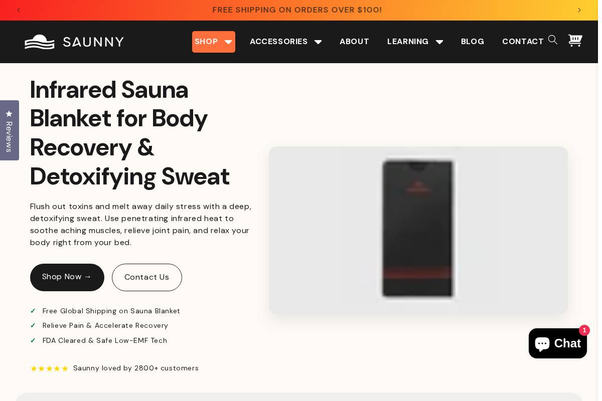 Saunny homepage screenshot