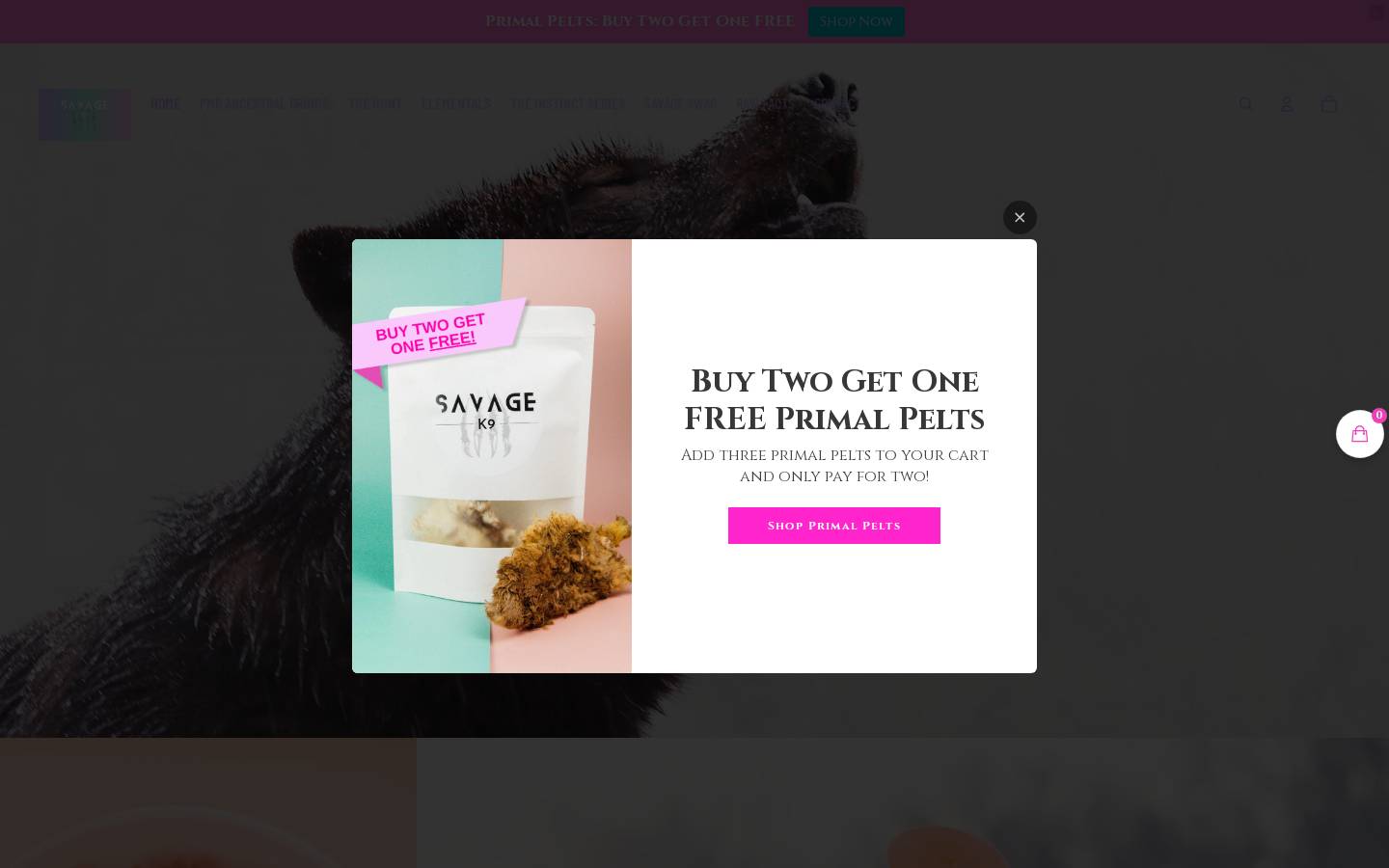 Savagek9 homepage screenshot