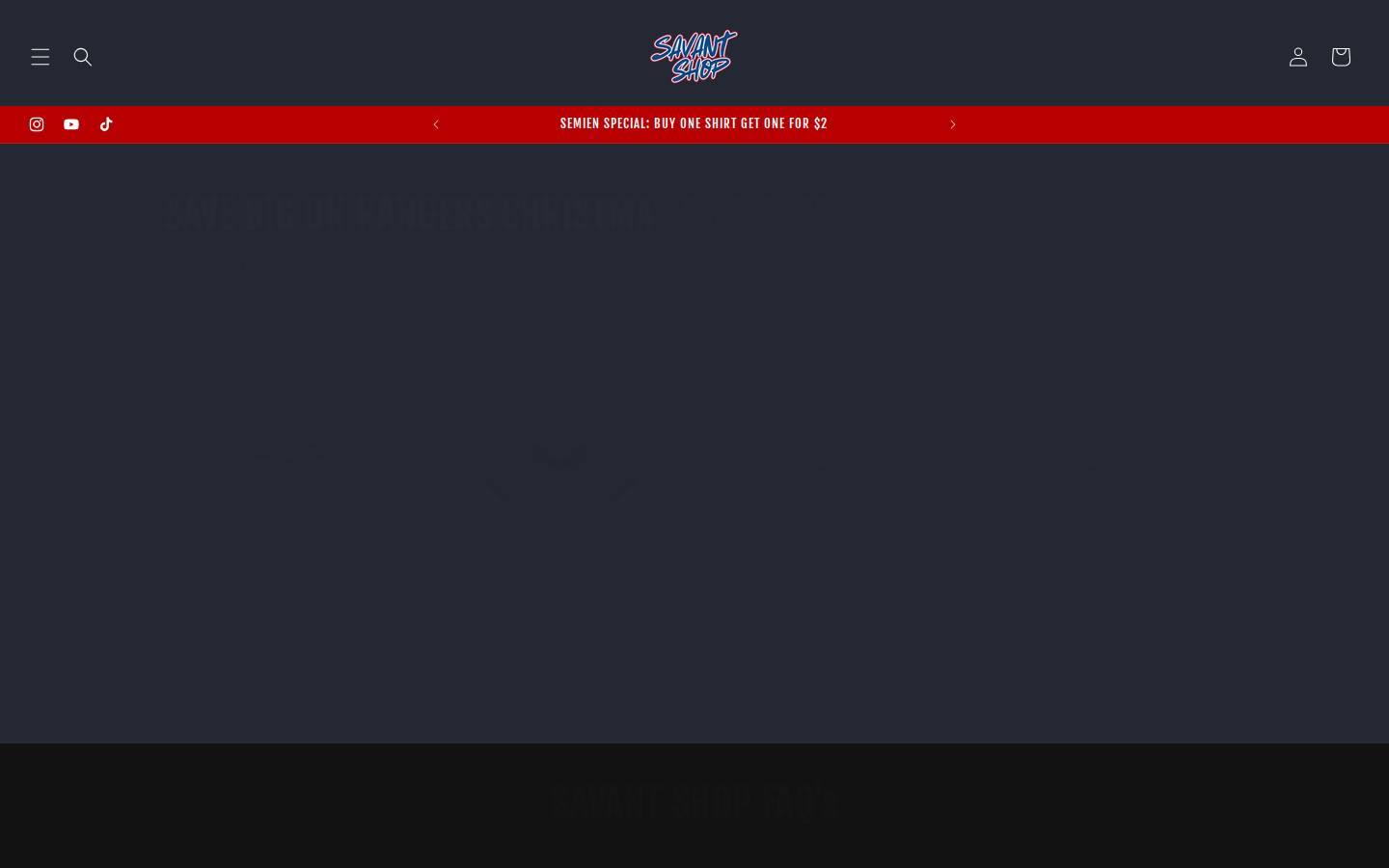 savantnet.work homepage screenshot