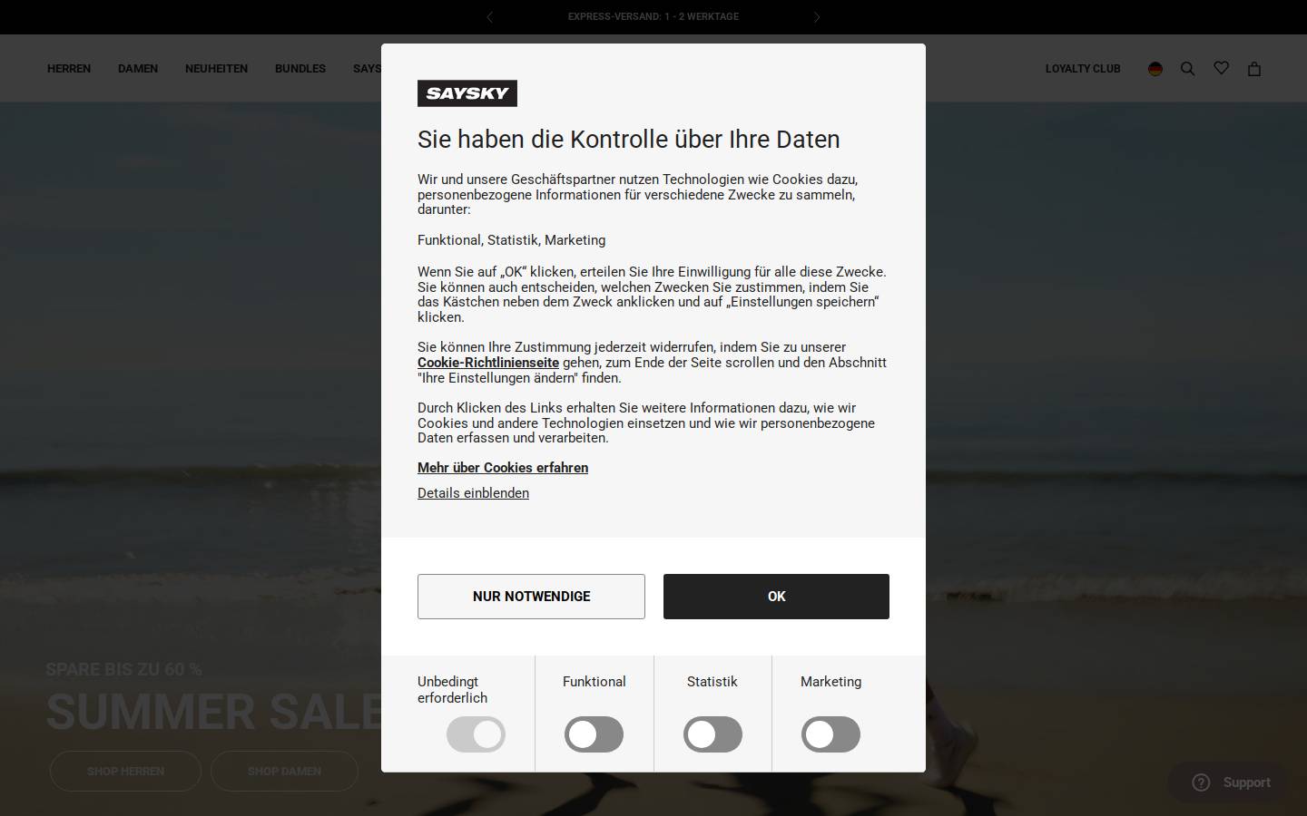 Saysky homepage screenshot