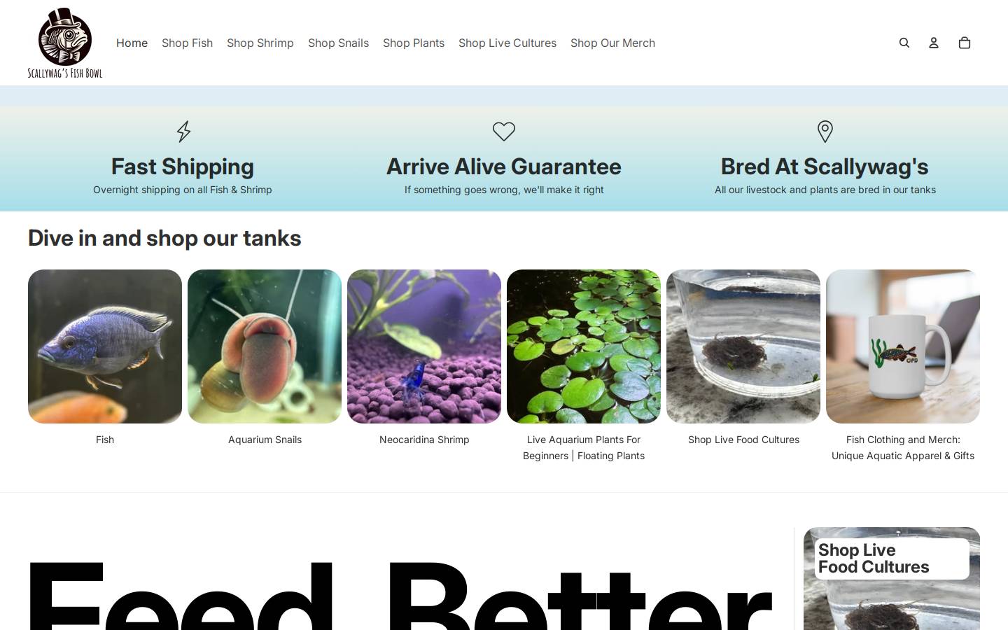 scallywagsfishbowl.com homepage screenshot