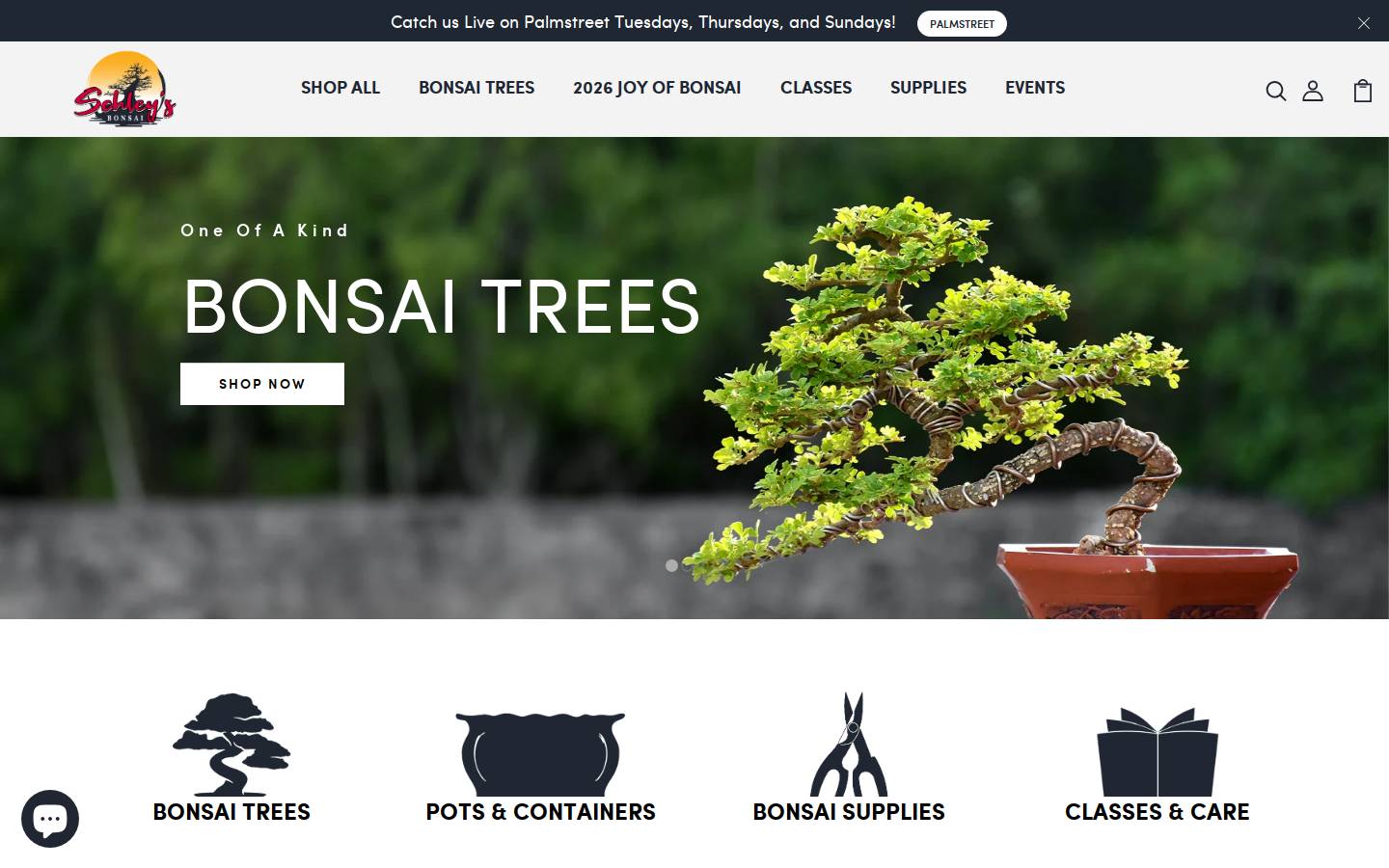 schleybonsai.com homepage screenshot