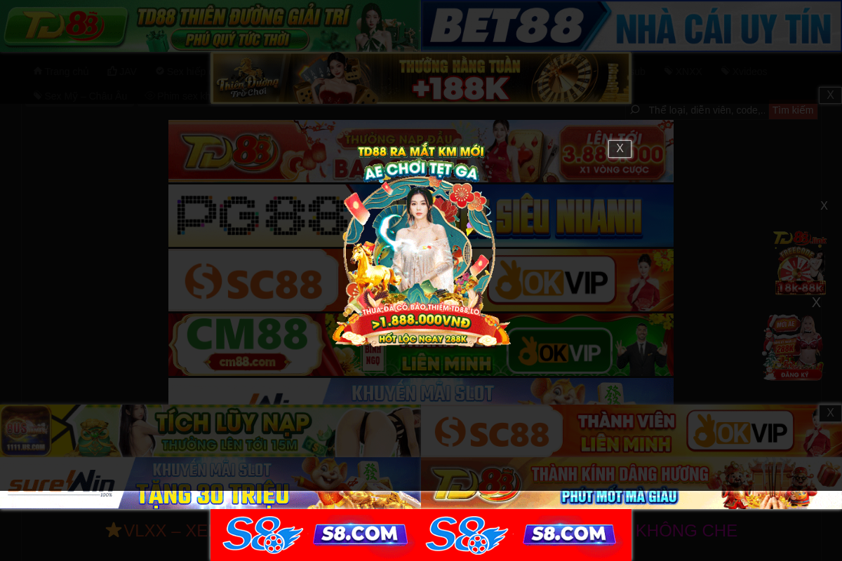 schneiderrides.ch homepage screenshot