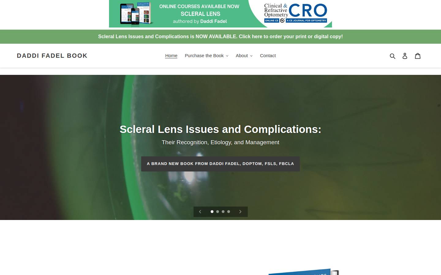 sclerallensbook.com homepage screenshot