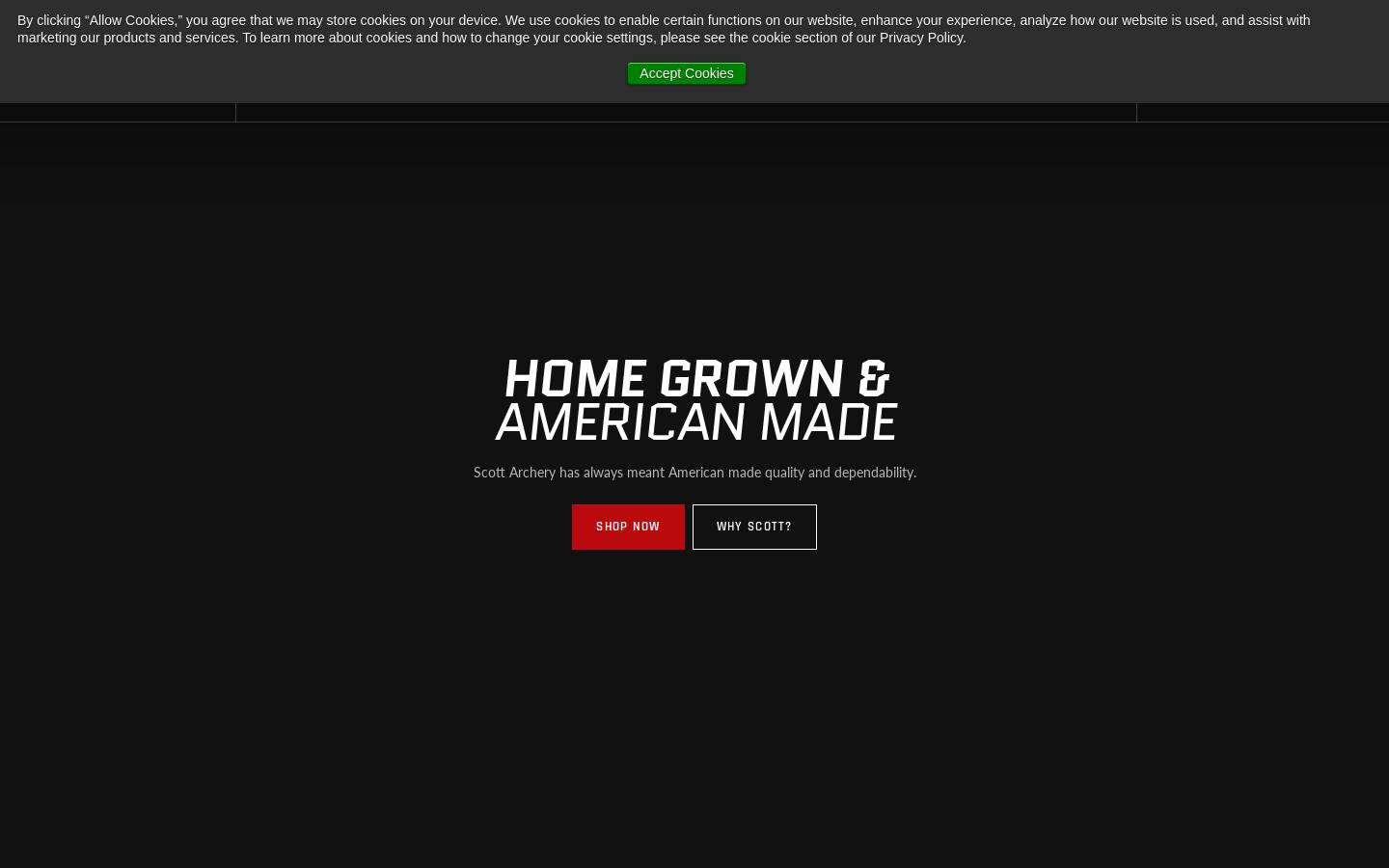 Scott Archery homepage screenshot