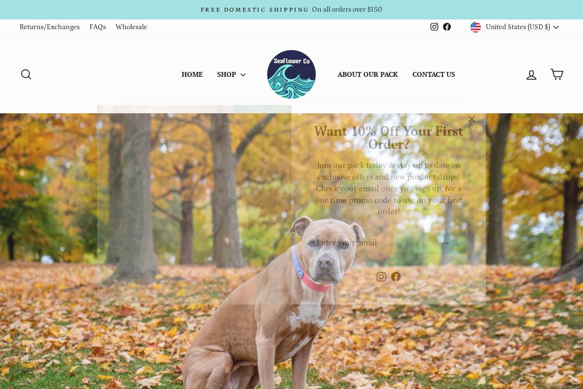 seaflowercompany.com homepage screenshot