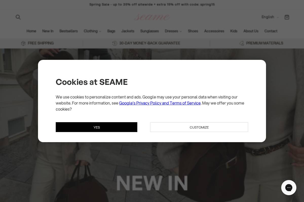 SEAME homepage screenshot