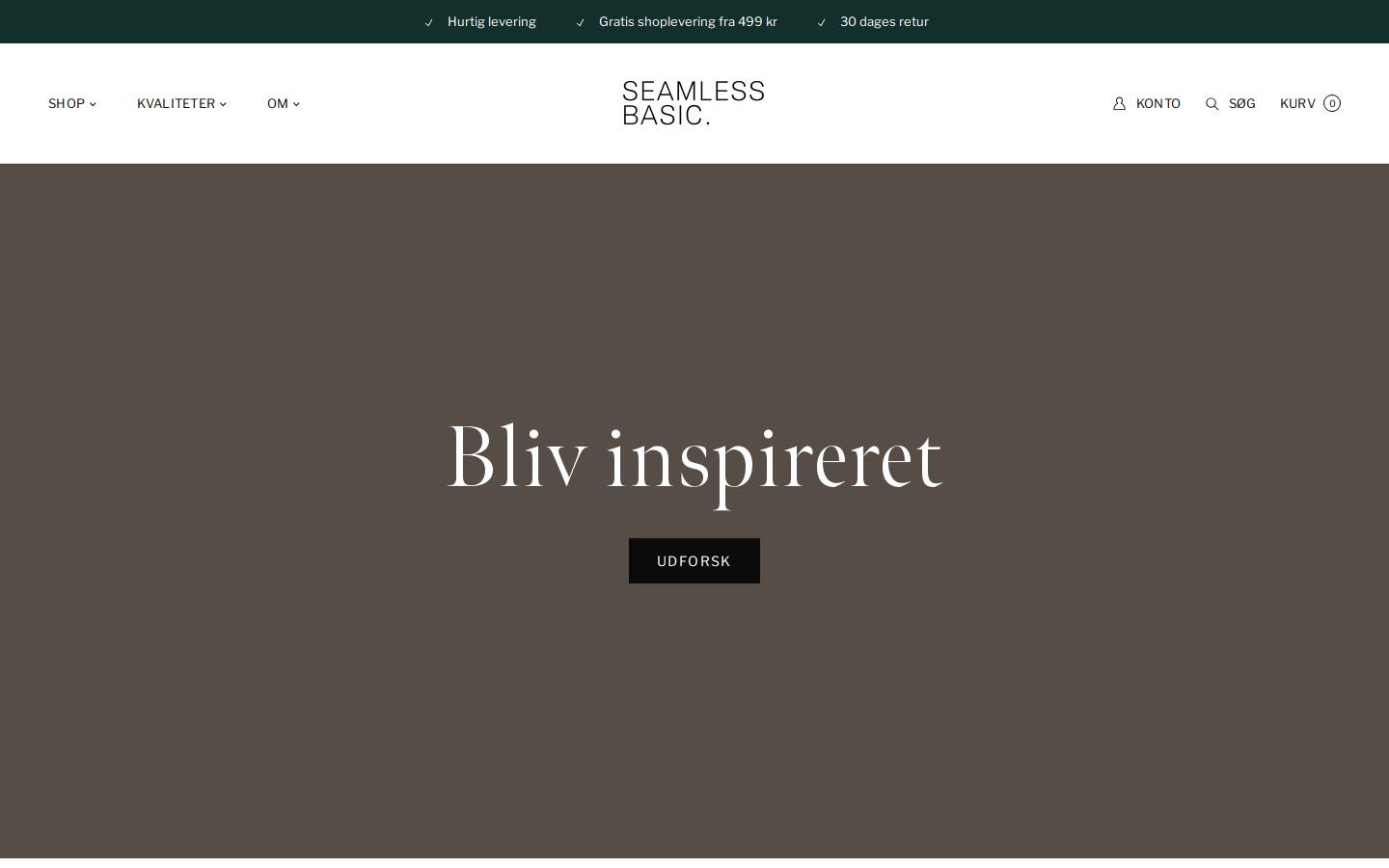 seamlessbasic.com homepage screenshot