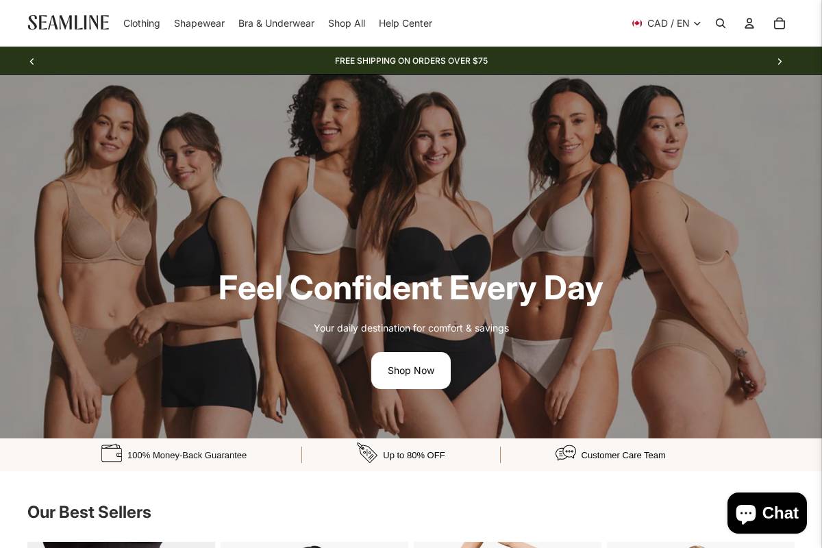 seamlineco.com homepage screenshot