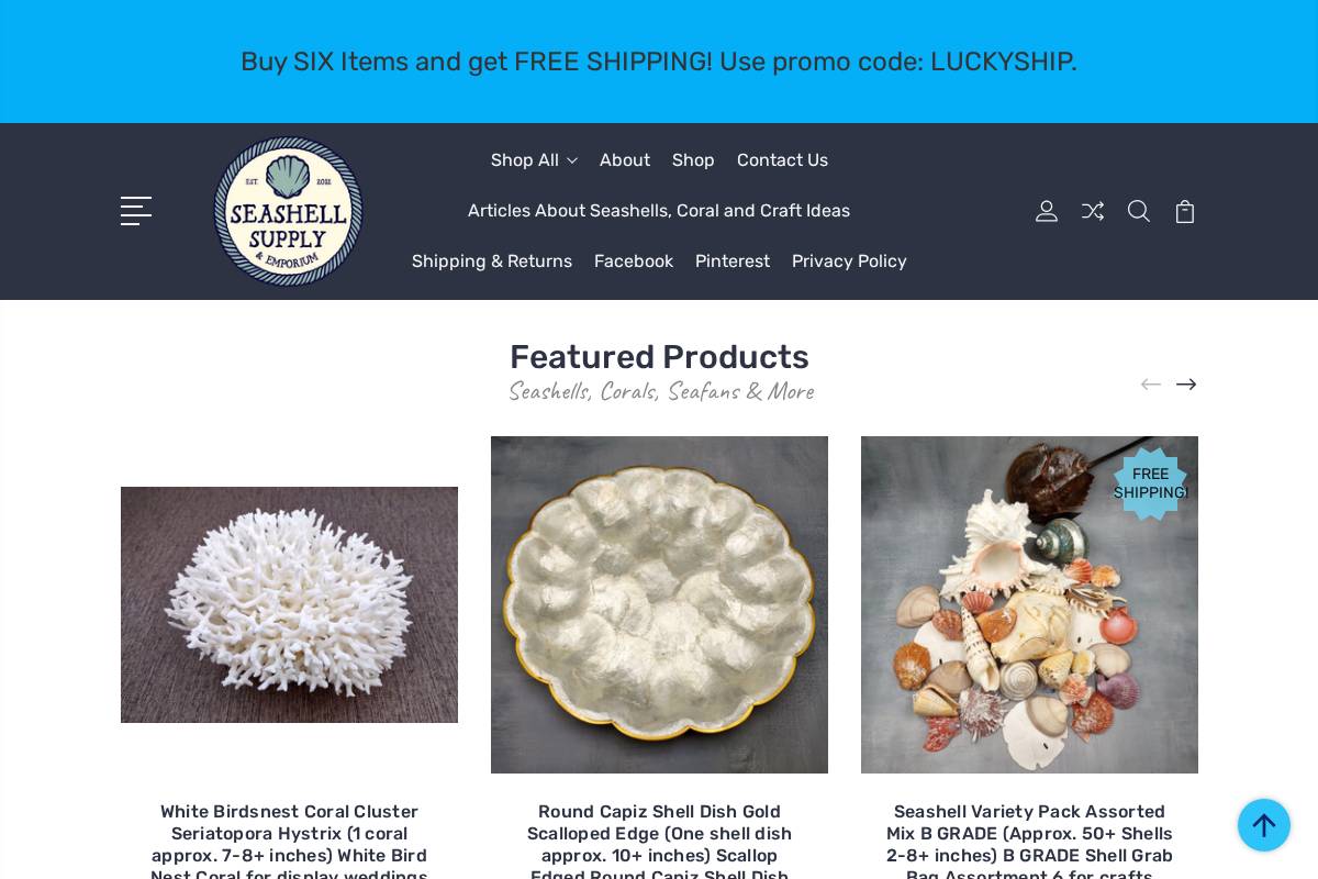 seashellmart.com homepage screenshot