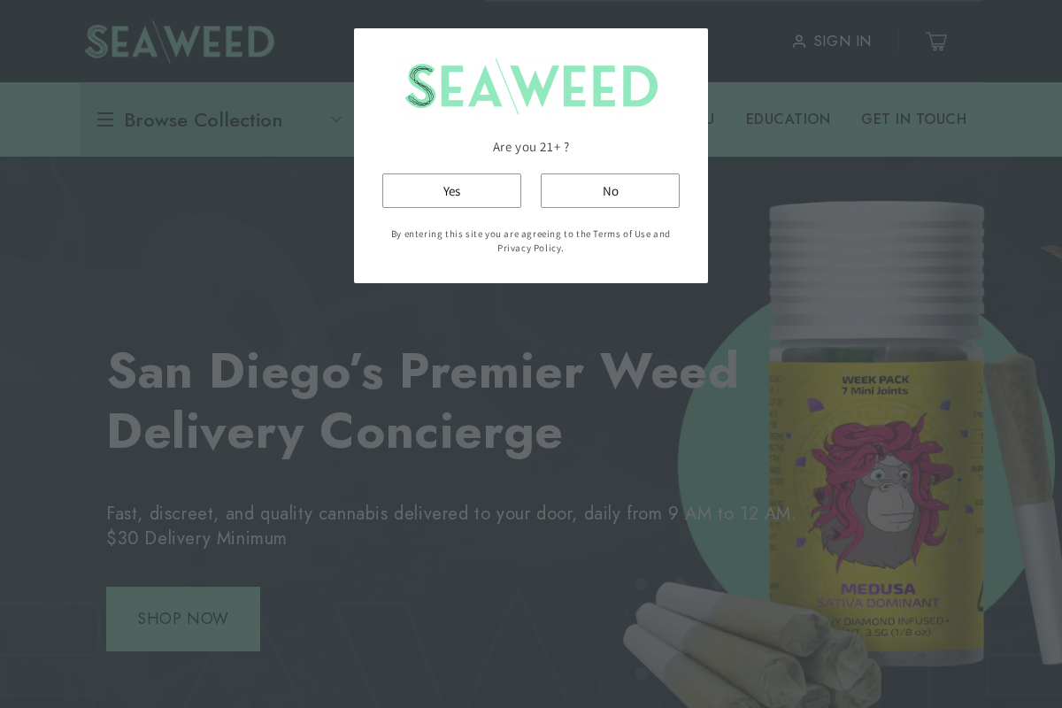 SeaweedDelivery homepage screenshot